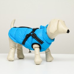 Куртка для собак со шлейкой, размер 8 (ДС 23 см, ОГ 30 см, ОШ 22 см), лазурная
