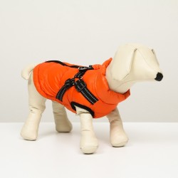 Куртка для собак со шлейкой, размер 12 (ДС 28 см, ОГ 38 см, ОШ 27 см), коралловая