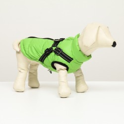 Куртка для собак со шлейкой, размер 10 (ДС 25 см, ОГ 34 см, ОШ 24 см), салатовая