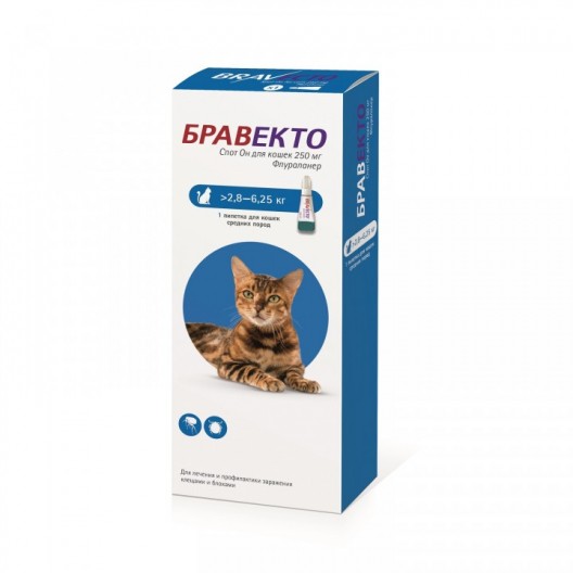 Бравекто плюс для кошек 250 мг (2,8-6,2 кг)
