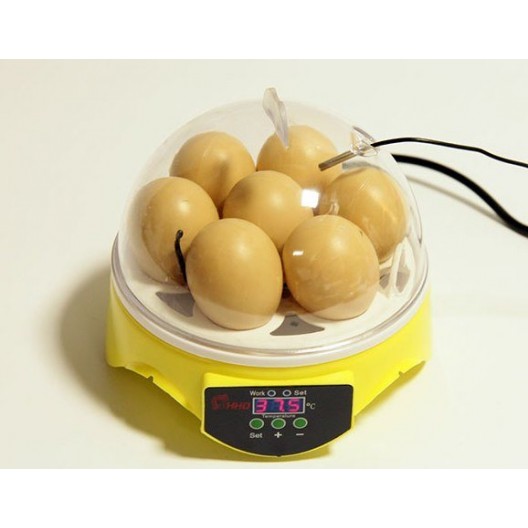Купить Мини- инкубатор на 7 яиц с терморегулятором