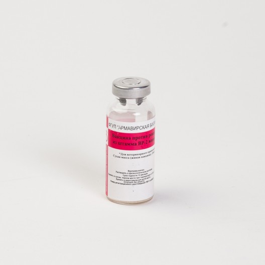 Купить ВР - 2 ( Вакцина против рожи свиней - вакцина живая сухая ) 15 доз