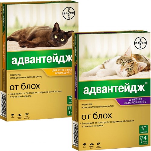 Адвантейдж для кошек свыше 4 кг 1 пипетка – купить в интернет-магазине с  доставкой