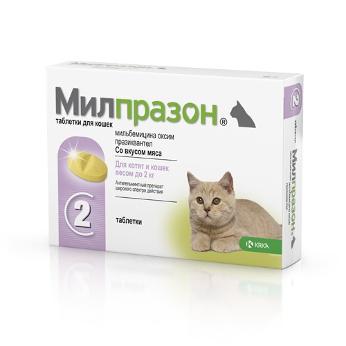 Милпразон антигельминтик для котят и кошек весом до 2 кг 1 таб. – купить в  интернет-магазине с доставкой