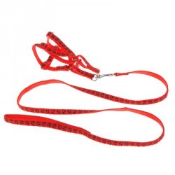 Комплект "Лапки" поводок 120 см, шлейка26-41 см, красный