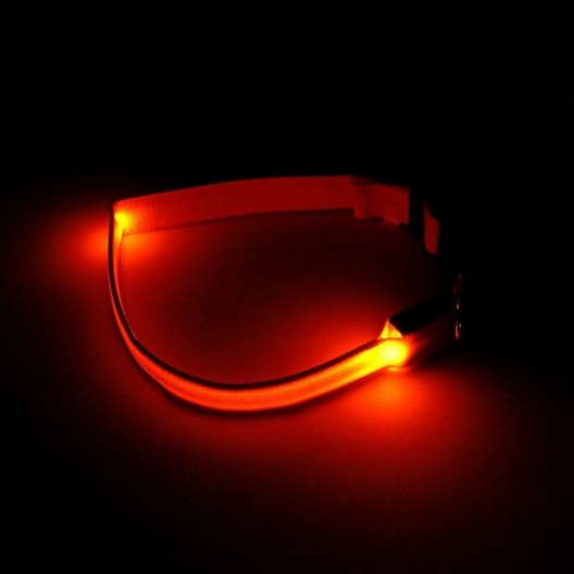 Купить Ошейник с подсветкой, зарядка от USB, до 45 см, 3 режима свечения, оранжевый