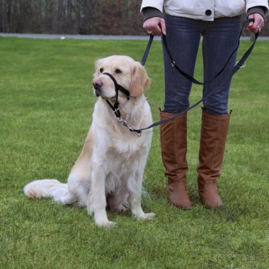 TRIXIE,Намордник для собак тренировочный(недоуздок),L 31 см(длина поводка 50-57 см)